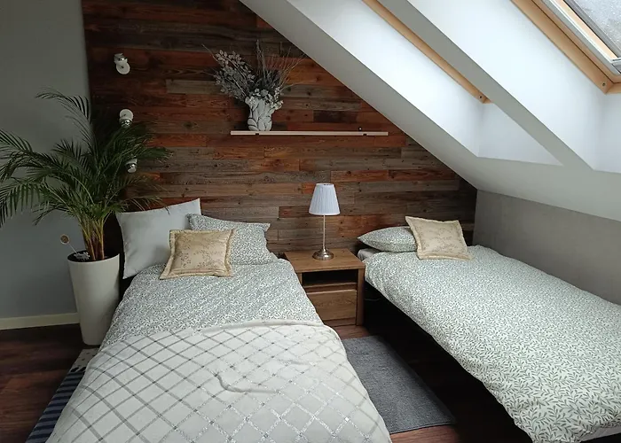 Kaszubski Biegun One *