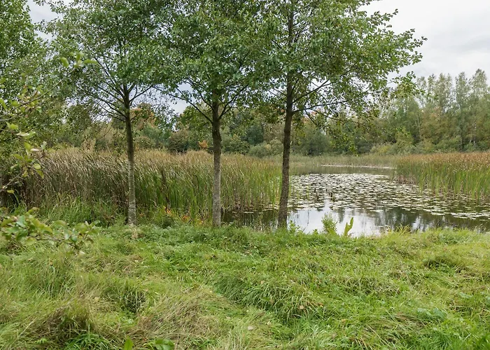 Prázdninový dům Kaszubski Biegun One